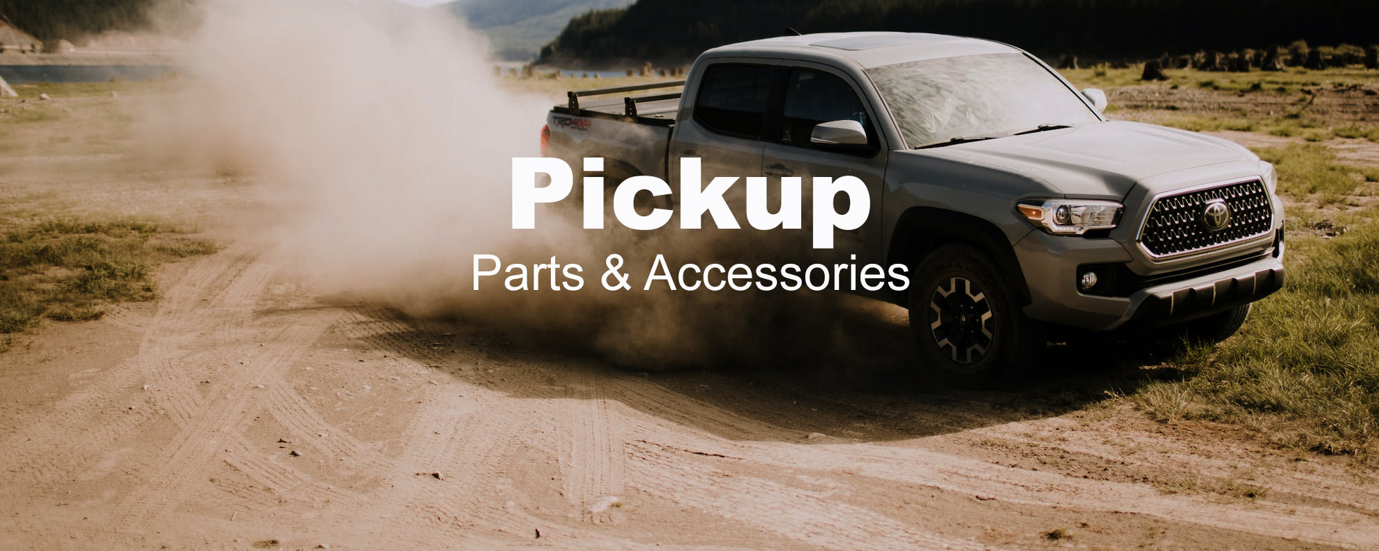 Pickup banner 2000x800
